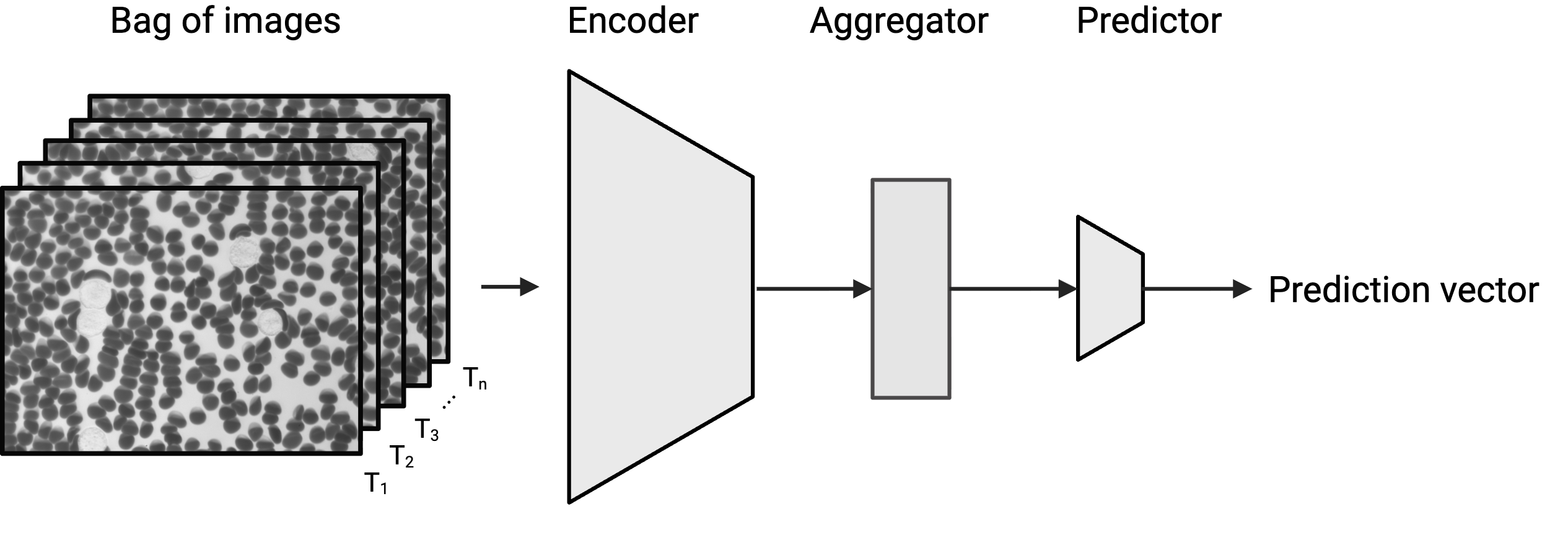 remo-ID model architecture